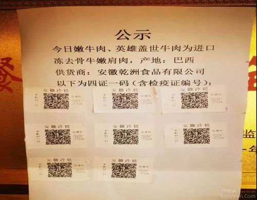 阳光下的冷链 六安金安如何守护“舌尖上的安全”——聚焦食品流通环节全程监管